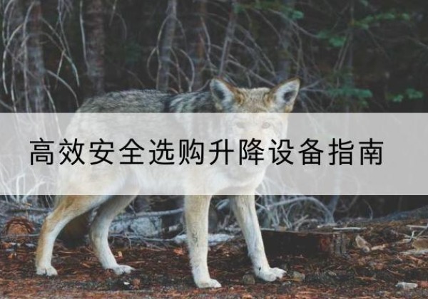 密云区升降货梯厂家推荐-*安全选购升降设备指南