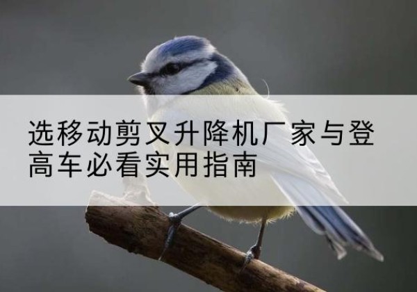 密云区电动升降机厂家-选移动剪叉升降机厂家与登高车必看实用指南